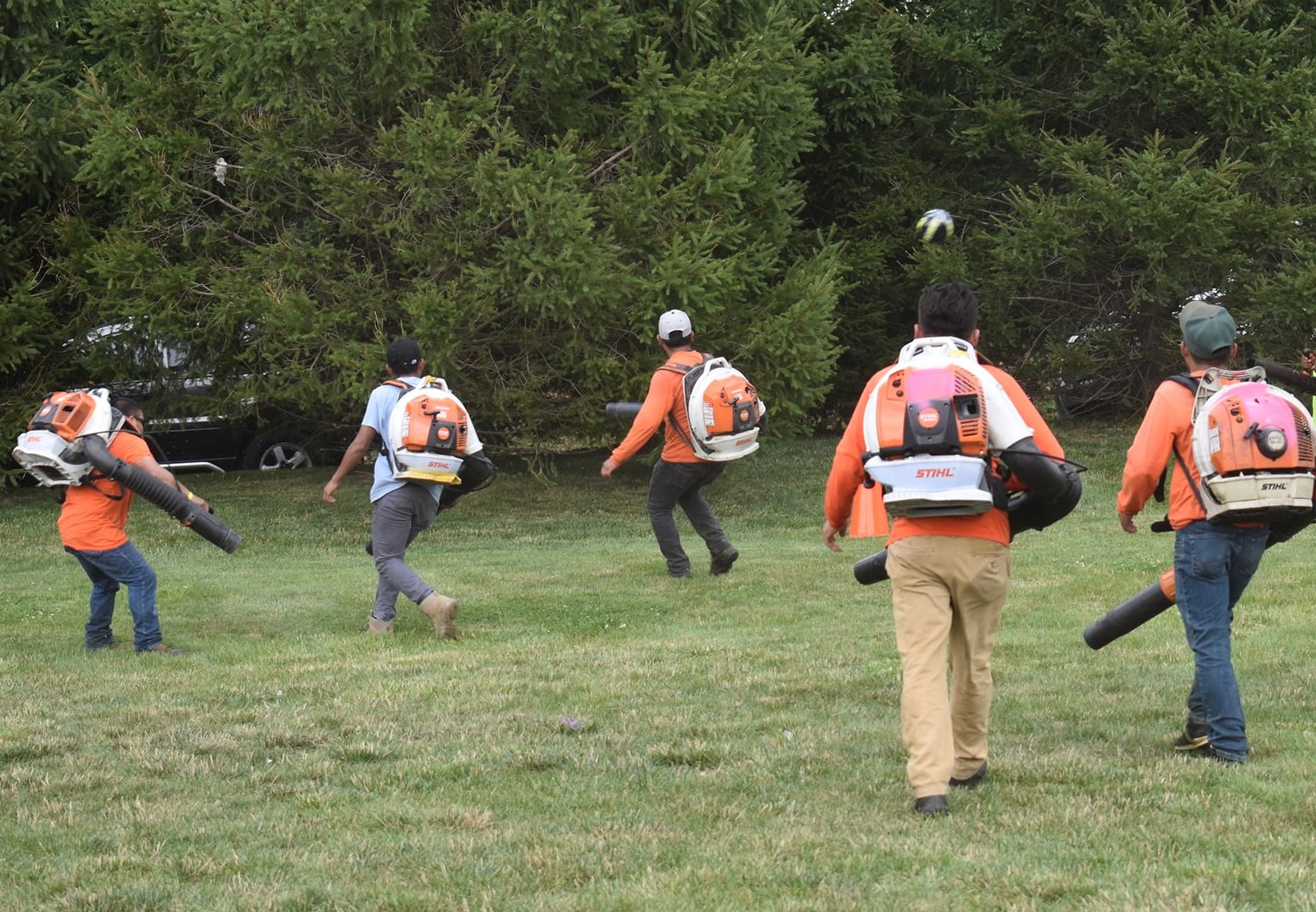 employees cleaning leaves in park